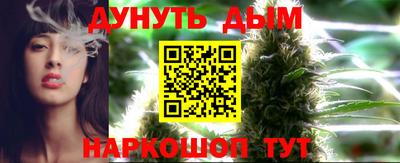 сатива Кимры